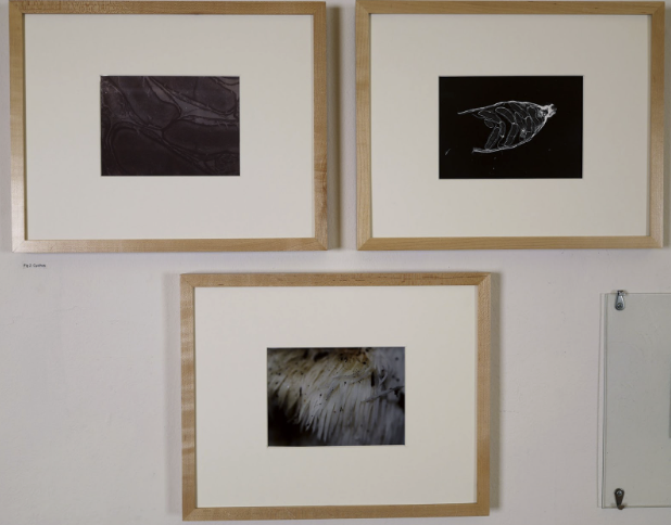 Victoria Chazin art exhibit